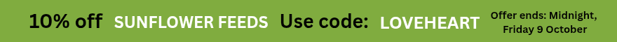 Discount offer banner image
